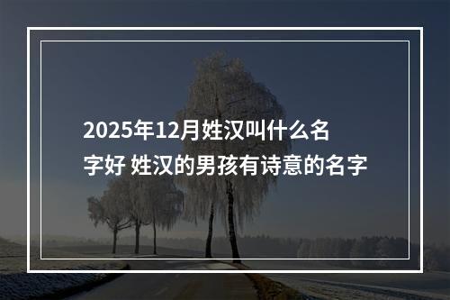 2025年12月姓汉叫什么名字好 姓汉的男孩有诗意的名字