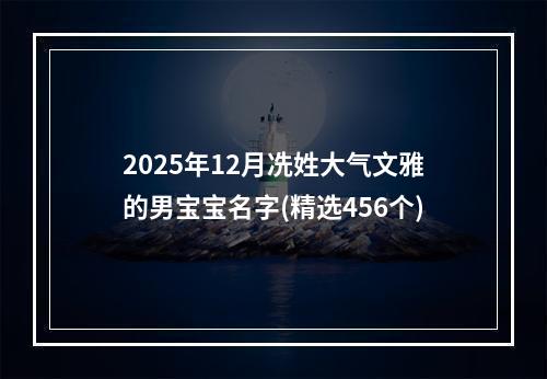 2025年12月冼姓大气文雅的男宝宝名字(精选456个)