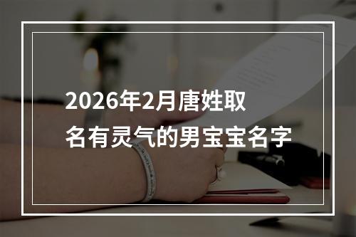 2026年2月唐姓取名有灵气的男宝宝名字