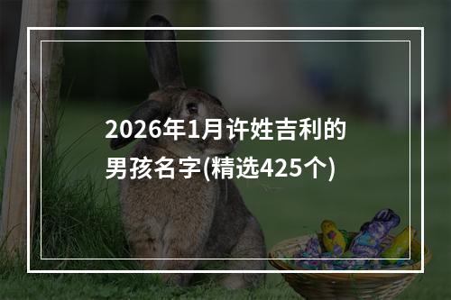 2026年1月许姓吉利的男孩名字(精选425个)