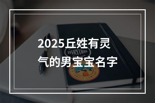 2025丘姓有灵气的男宝宝名字