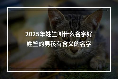 2025年姓竺叫什么名字好 姓竺的男孩有含义的名字