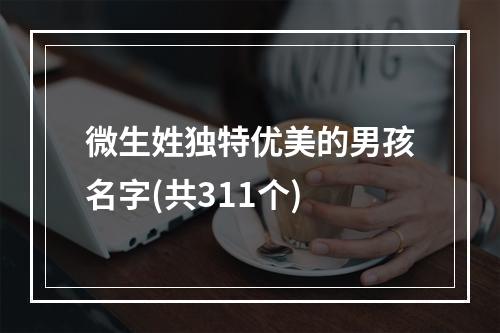 微生姓独特优美的男孩名字(共311个)
