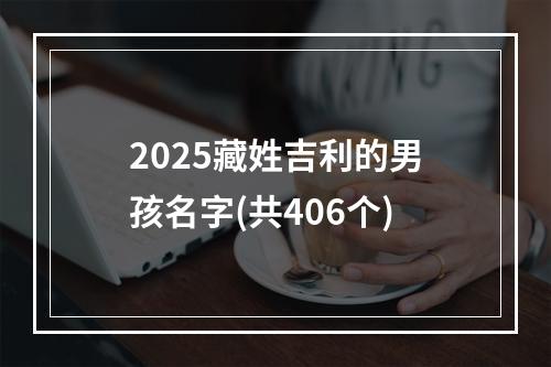 2025藏姓吉利的男孩名字(共406个)