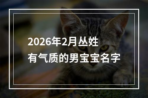 2026年2月丛姓有气质的男宝宝名字
