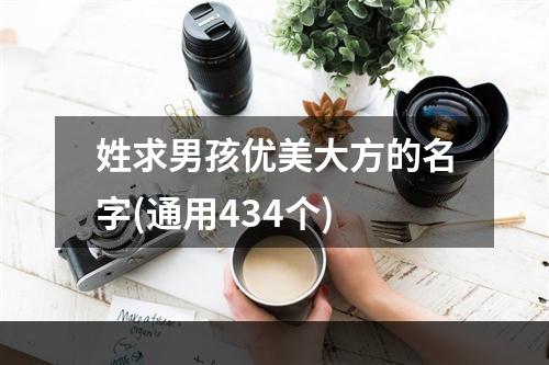 姓求男孩优美大方的名字(通用434个)
