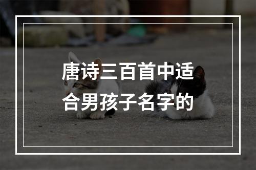 唐诗三百首中适合男孩子名字的