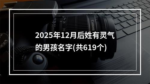 2025年12月后姓有灵气的男孩名字(共619个)