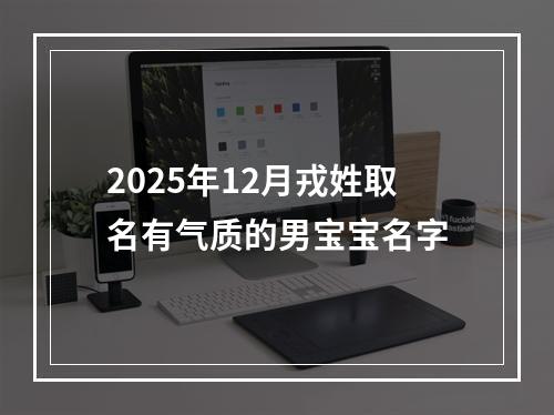 2025年12月戎姓取名有气质的男宝宝名字
