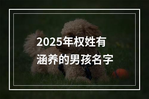 2025年权姓有涵养的男孩名字