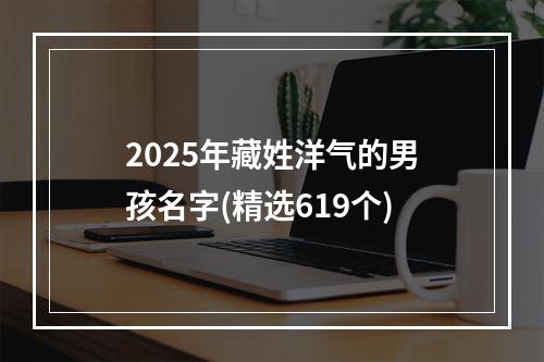 2025年藏姓洋气的男孩名字(精选619个)