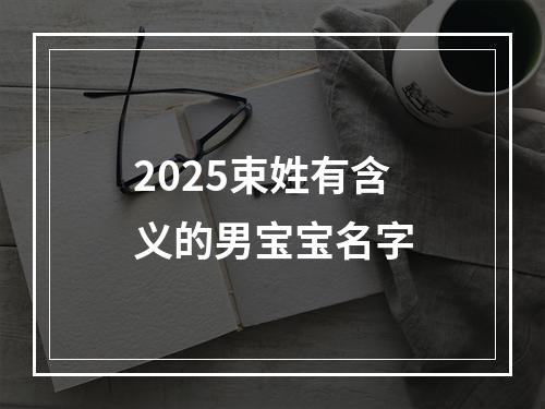 2025束姓有含义的男宝宝名字