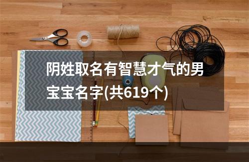 阴姓取名有智慧才气的男宝宝名字(共619个)