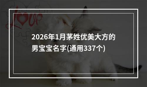 2026年1月茅姓优美大方的男宝宝名字(通用337个)