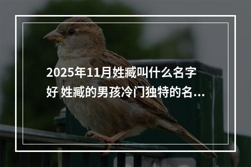 2025年11月姓臧叫什么名字好 姓臧的男孩冷门独特的名字