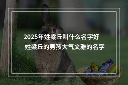2025年姓梁丘叫什么名字好 姓梁丘的男孩大气文雅的名字