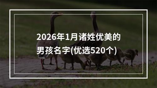 2026年1月诸姓优美的男孩名字(优选520个)