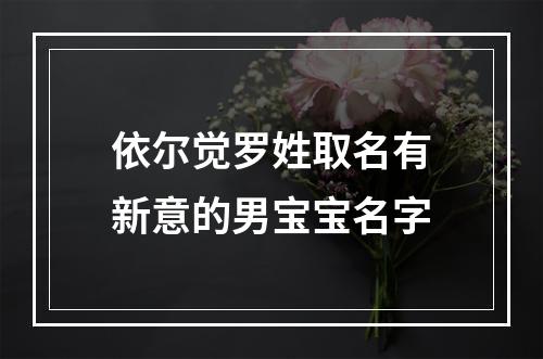 依尔觉罗姓取名有新意的男宝宝名字