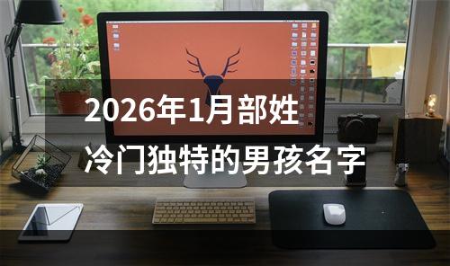 2026年1月部姓冷门独特的男孩名字