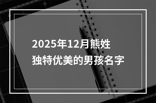 2025年12月熊姓独特优美的男孩名字