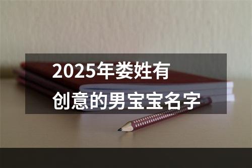 2025年娄姓有创意的男宝宝名字