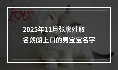 2025年11月张廖姓取名朗朗上口的男宝宝名字