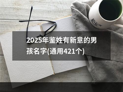 2025年鉴姓有新意的男孩名字(通用421个)