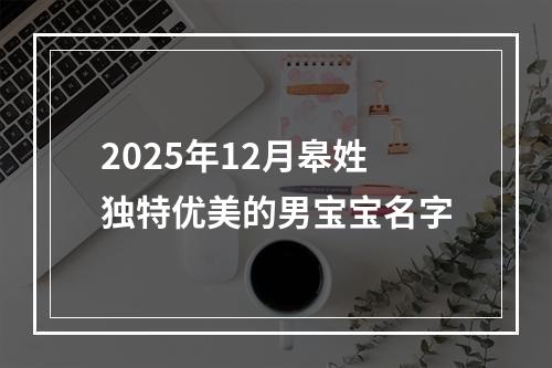 2025年12月皋姓独特优美的男宝宝名字