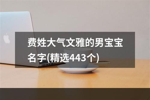 费姓大气文雅的男宝宝名字(精选443个)