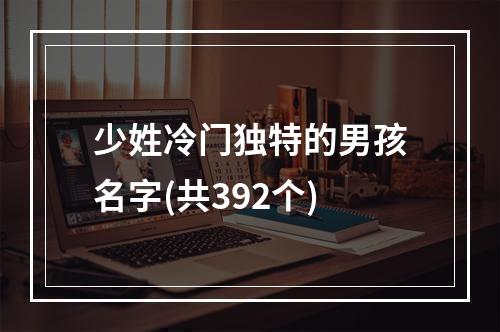 少姓冷门独特的男孩名字(共392个)