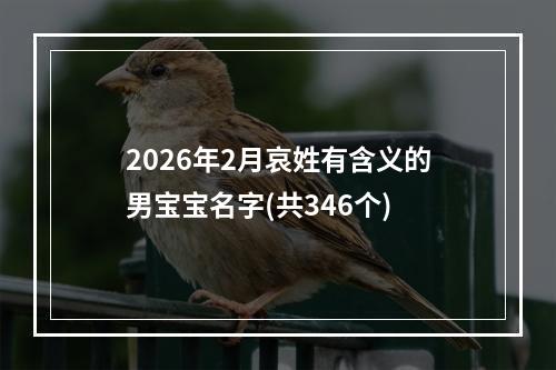 2026年2月哀姓有含义的男宝宝名字(共346个)