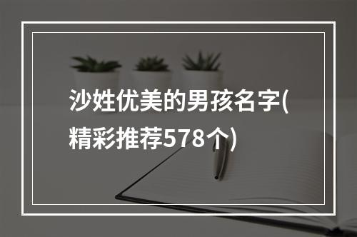 沙姓优美的男孩名字(精彩推荐578个)