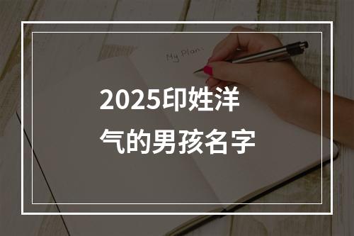 2025印姓洋气的男孩名字