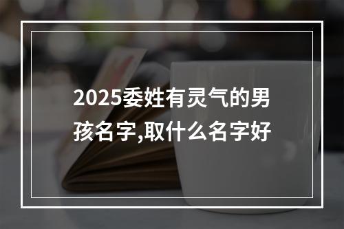 2025委姓有灵气的男孩名字,取什么名字好