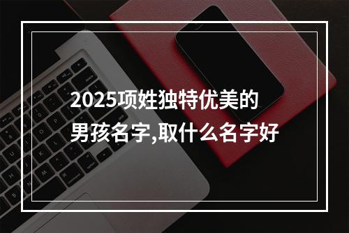 2025项姓独特优美的男孩名字,取什么名字好