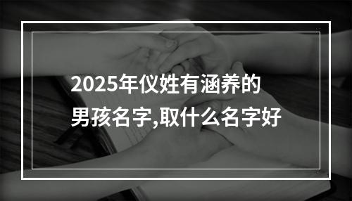 2025年仪姓有涵养的男孩名字,取什么名字好