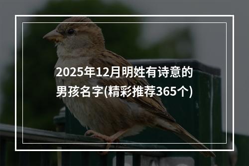 2025年12月明姓有诗意的男孩名字(精彩推荐365个)