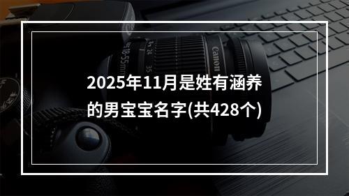 2025年11月是姓有涵养的男宝宝名字(共428个)