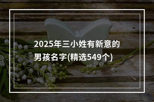 2025年三小姓有新意的男孩名字(精选549个)
