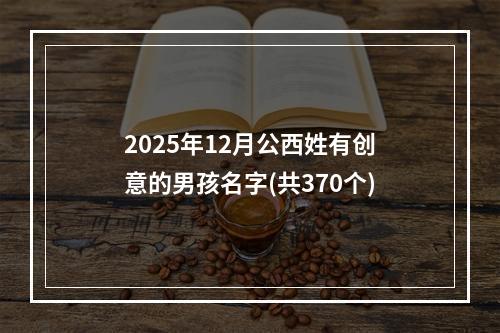 2025年12月公西姓有创意的男孩名字(共370个)