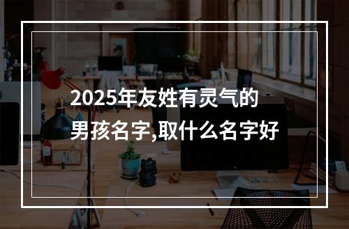 2025年友姓有灵气的男孩名字,取什么名字好