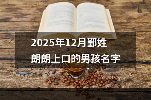 2025年12月鄞姓朗朗上口的男孩名字