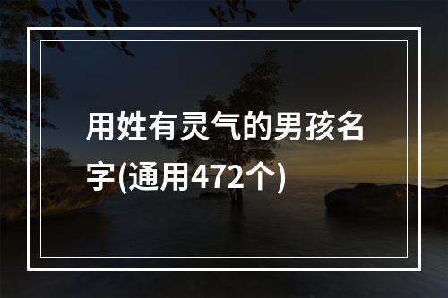 用姓有灵气的男孩名字(通用472个)