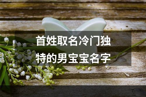 首姓取名冷门独特的男宝宝名字