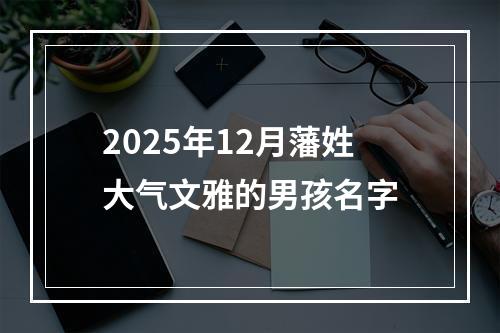 2025年12月藩姓大气文雅的男孩名字
