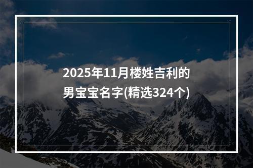 2025年11月楼姓吉利的男宝宝名字(精选324个)