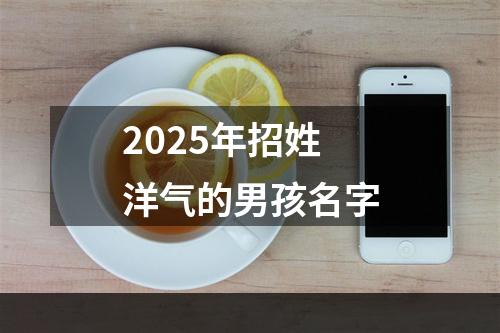 2025年招姓洋气的男孩名字