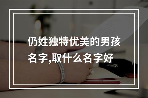 仍姓独特优美的男孩名字,取什么名字好