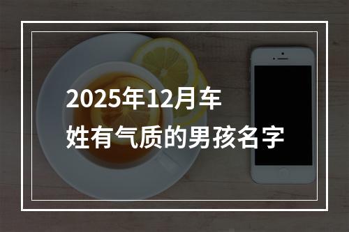 2025年12月车姓有气质的男孩名字
