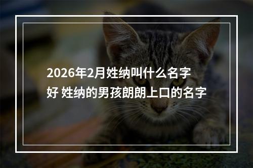 2026年2月姓纳叫什么名字好 姓纳的男孩朗朗上口的名字